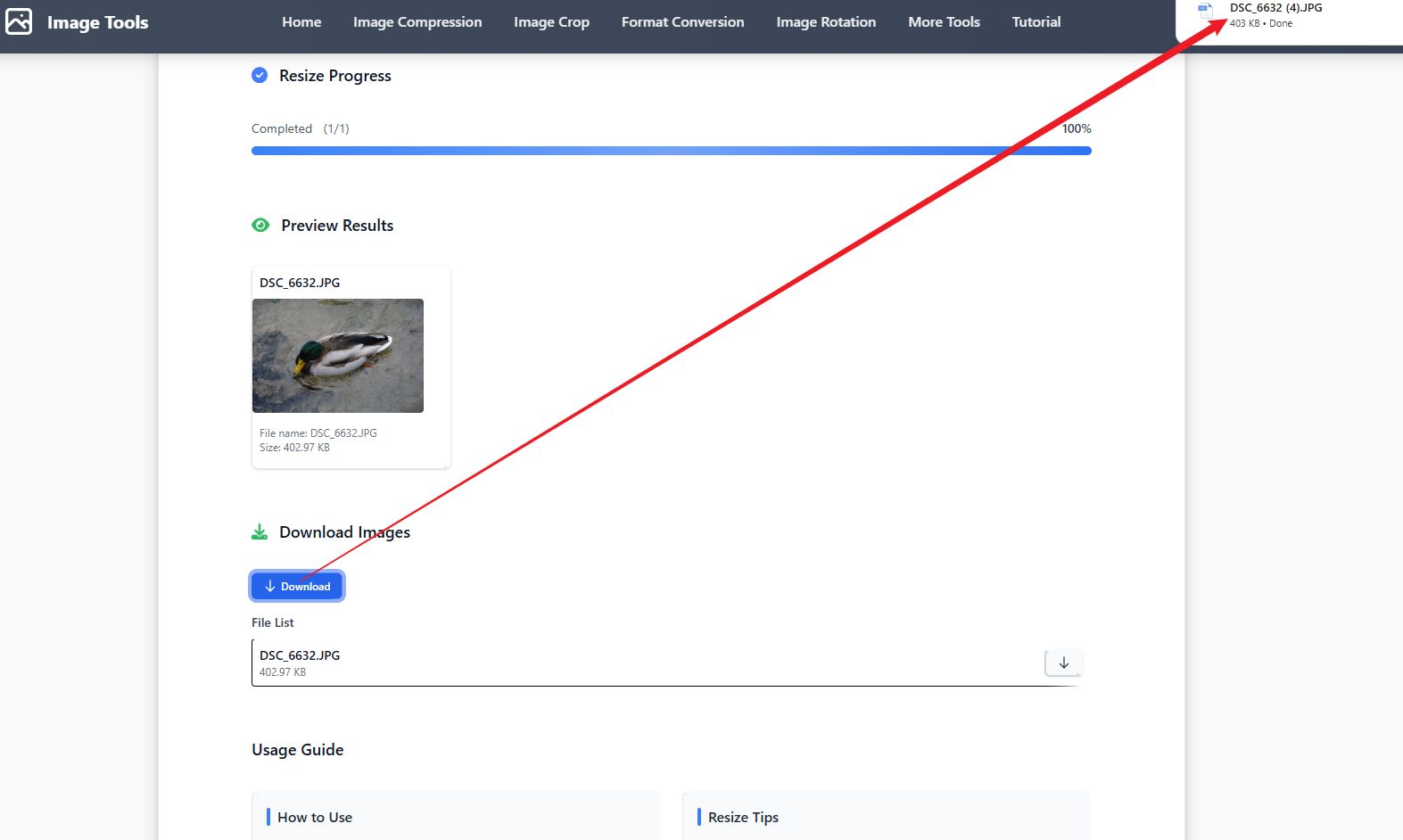 Adjust Tutorial